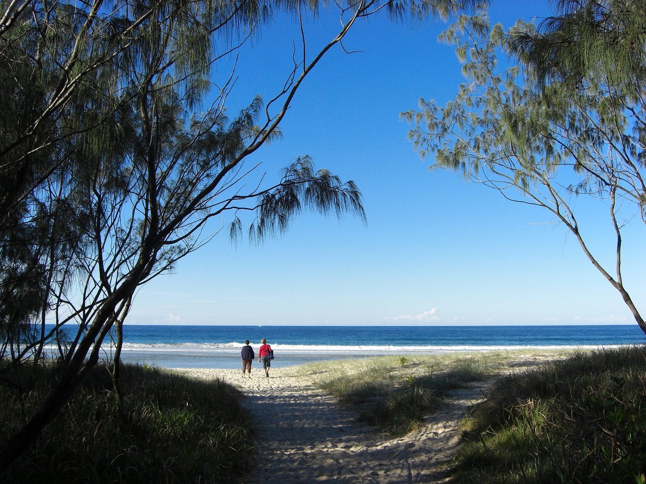 queensland, australia, landscape-91756.jpg